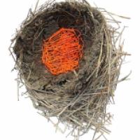 'Nest' by Rachel Gribble