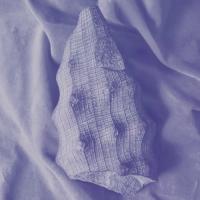 Fossilized sea sponge on fabric with purple overtones on whole image.