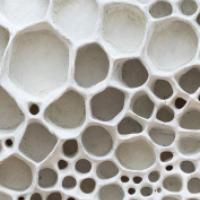 Honeycomb sculpture