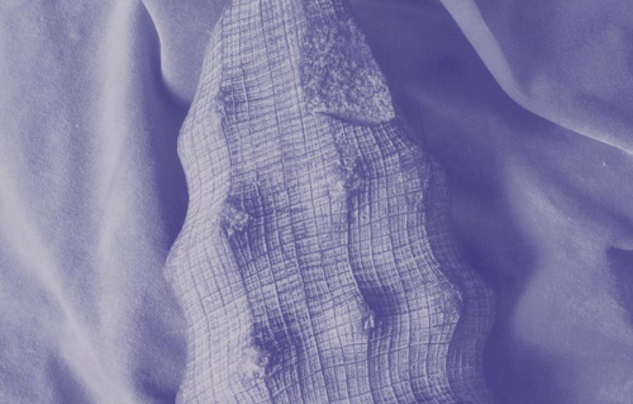 Fossilized sea sponge on fabric with purple overtones on whole image.