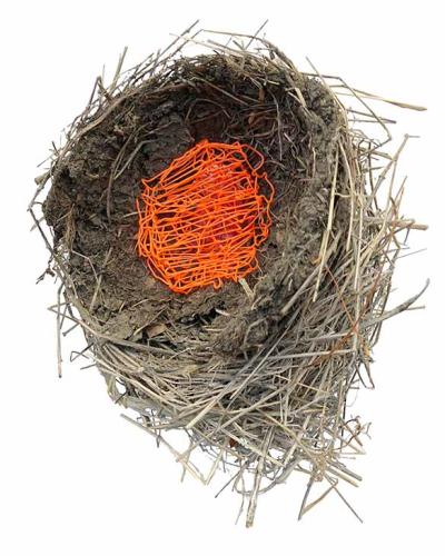 'Nest' by Rachel Gribble