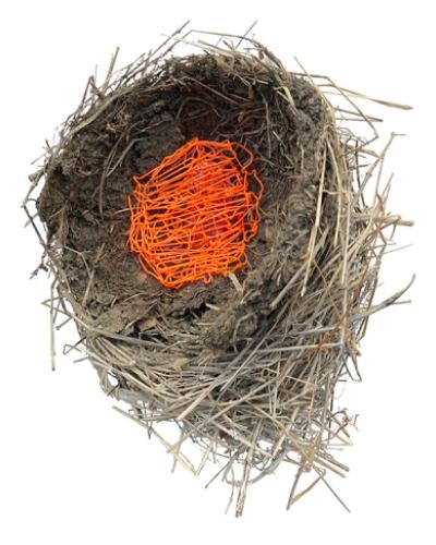 bird&#039;s nest with orange plastic strands woven into center